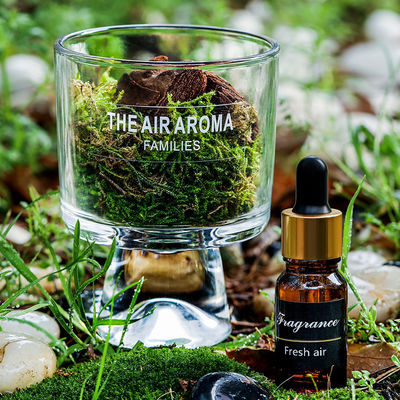 機能 空気を新鮮に保つ クリエイティブデザイン 豪華なプレゼントパッケージングのためのリードセット