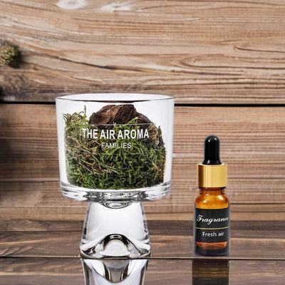 デザイナー 100ml モスディフューザー ギフトセット クリエイティブな香りのオイルで空気を新鮮に保つ