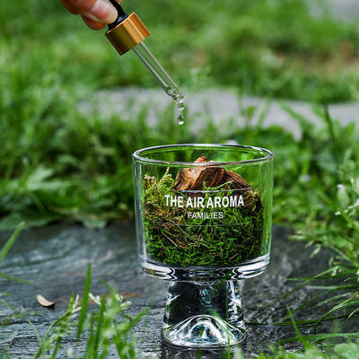 デザイナー 100ml モスディフューザー ギフトセット クリエイティブな香りのオイルで空気を新鮮に保つ