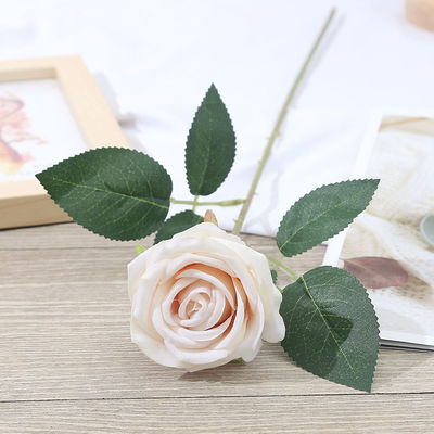 母の日 クリスマス 卒業 ハロウィーン