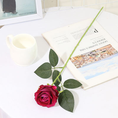 母の日 クリスマス 卒業 ハロウィーン