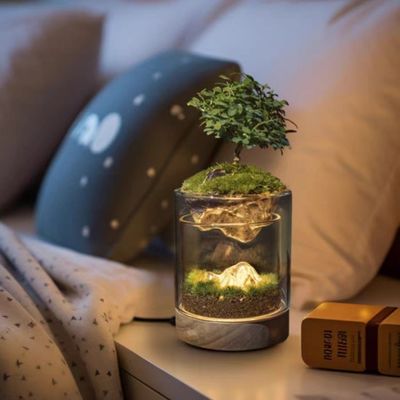 ブラッシュウッド 植物 繊維 ガラス 温室 ランプ 現代のボンサイ 床/ショッピングモール 装飾