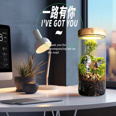 ブラッシュウッド 植物 繊維 ガラス 温室 ランプ 現代のボンサイ 床/ショッピングモール 装飾
