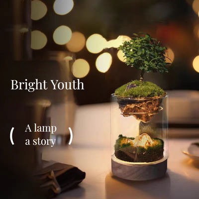 繊維ガラス モダンテーブルトップ マイクロランドスケープ ガラス温室 ショッピングモール用ランプ