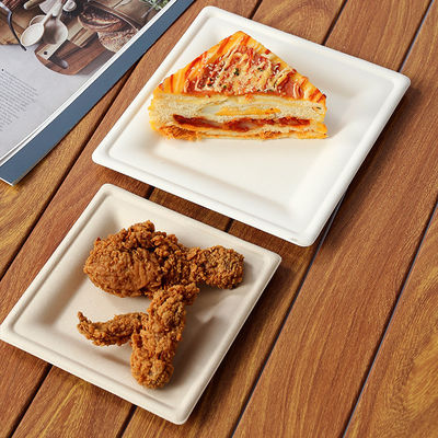 1 片使い捨てのディナープレート 14 インチ 未白 Bagasse 方形と長方形