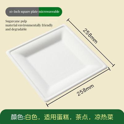 1 片使い捨てのディナープレート 14 インチ 未白 Bagasse 方形と長方形