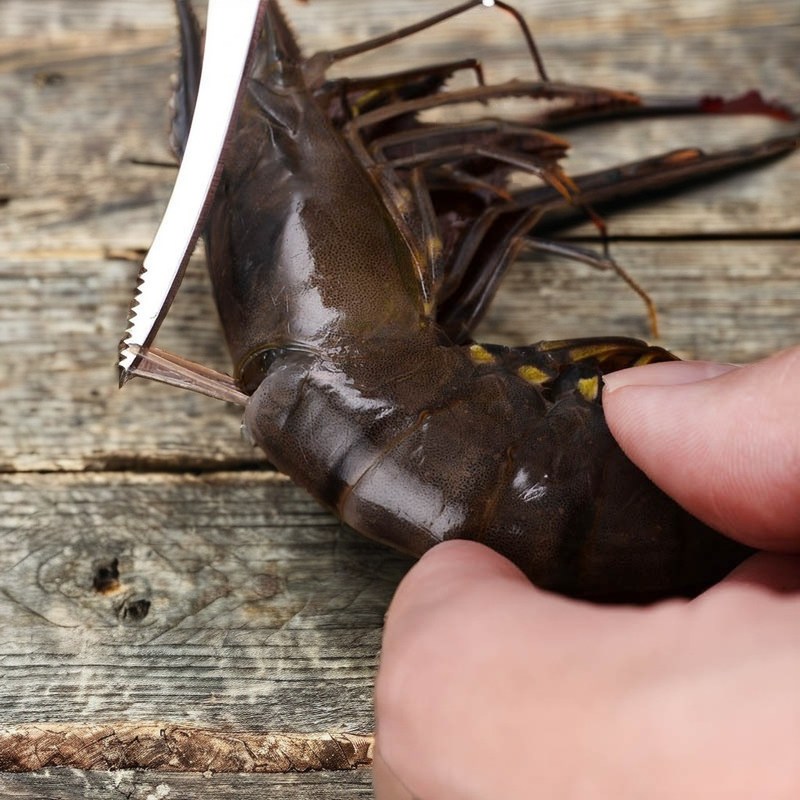 野菜の切断器とステンレス鋼の魚の腹ナイフで迅速なキャベツ清掃